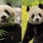 WhatsApp Image 2025-11-03 at 7.01.55 PM