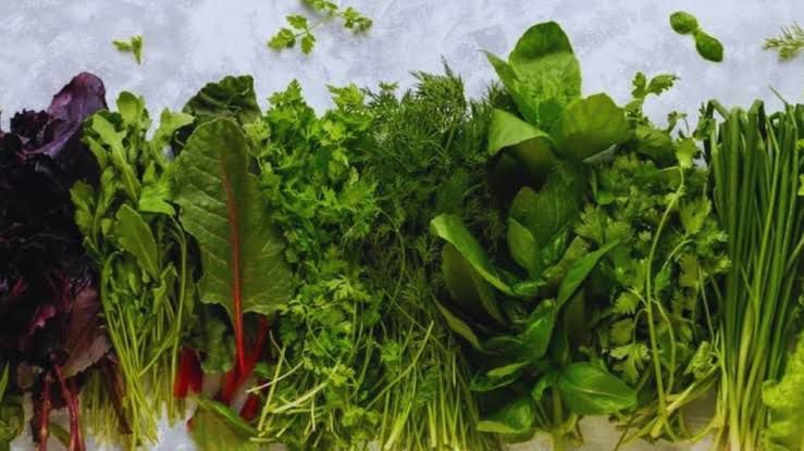 WhatsApp Image 2025-11-05 at 1.14.56 PM