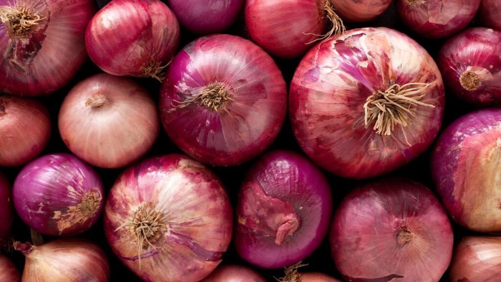 WhatsApp Image 2025-11-07 at 6.33.49 PM (1)