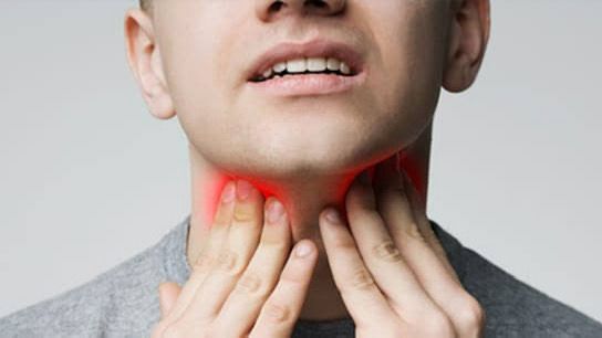 WhatsApp Image 2025-11-13 at 7.24.46 PM