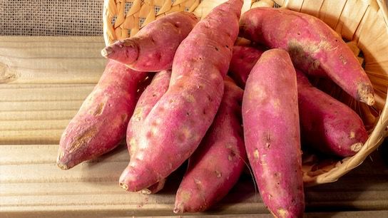 WhatsApp Image 2025-11-13 at 7.56.44 PM