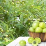 WhatsApp Image 2025-11-13 at 8.10.07 PM (1)