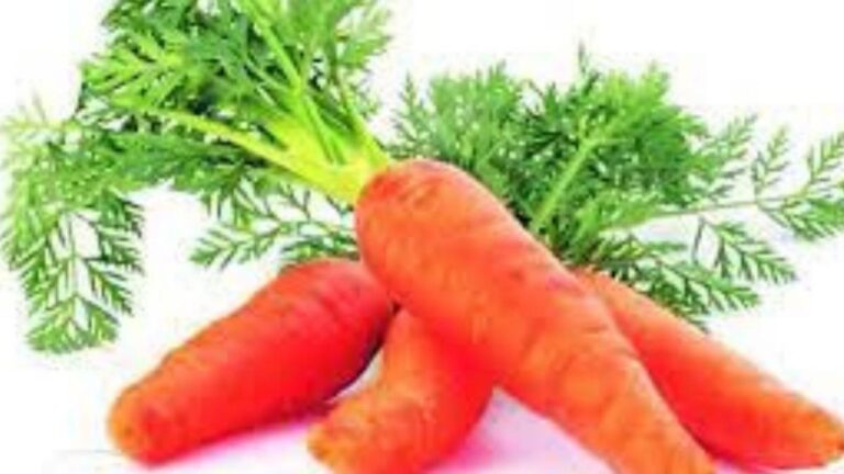 WhatsApp Image 2025-11-21 at 5.58.25 PM