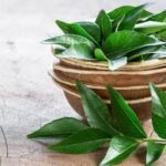 WhatsApp Image 2025-11-28 at 8.37.55 PM