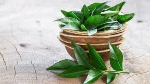 WhatsApp Image 2025-11-28 at 8.37.55 PM