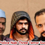 InShot_20251201_074911497