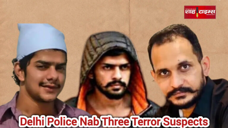 InShot_20251201_074911497