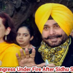 InShot_20251207_165345782