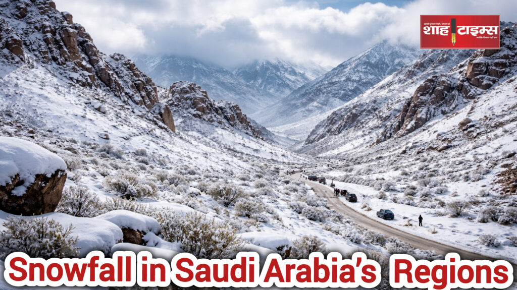 InShot_20251219_121036355