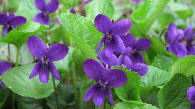 WhatsApp Image 2025-12-04 at 1.03.15 PM