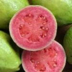 WhatsApp Image 2025-12-08 at 2.32.39 PM