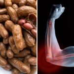 WhatsApp Image 2025-12-08 at 2.51.13 PM