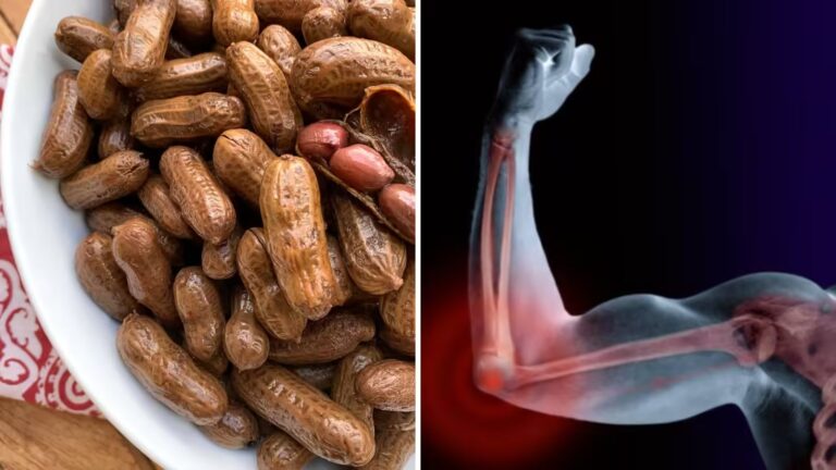 WhatsApp Image 2025-12-08 at 2.51.13 PM