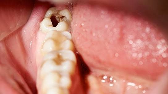 WhatsApp Image 2025-12-09 at 8.10.41 PM