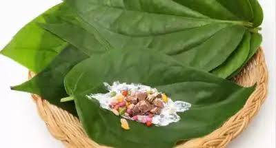 WhatsApp Image 2025-12-11 at 4.21.39 PM