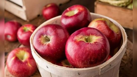 WhatsApp Image 2025-12-11 at 5.12.57 PM