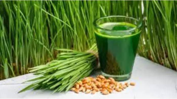 WhatsApp Image 2025-12-12 at 4.56.15 PM