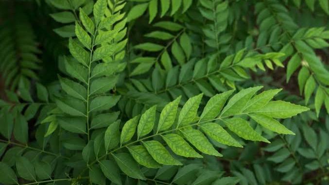 WhatsApp Image 2025-12-13 at 5.17.08 PM