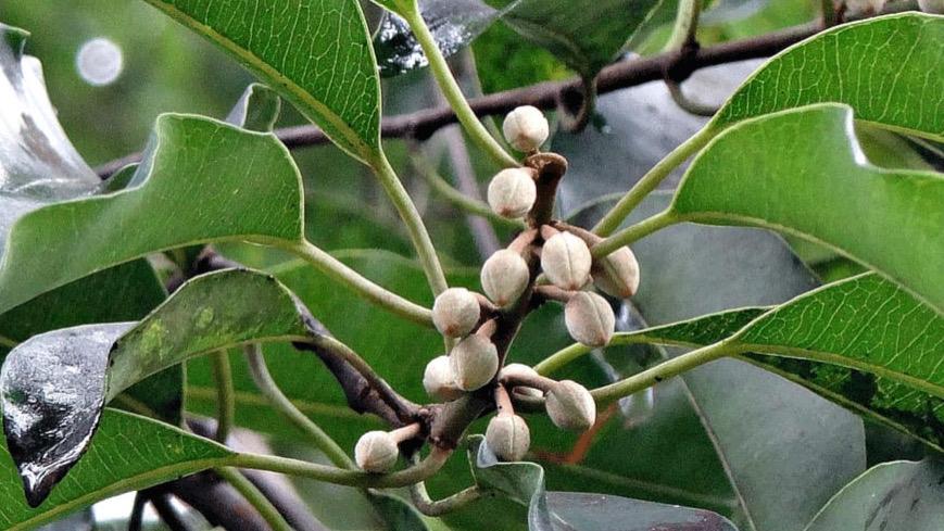 WhatsApp Image 2025-12-15 at 2.00.41 PM