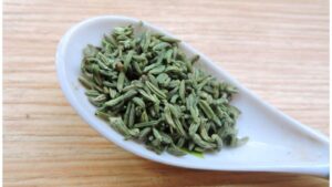 WhatsApp Image 2025-12-17 at 2.19.05 PM