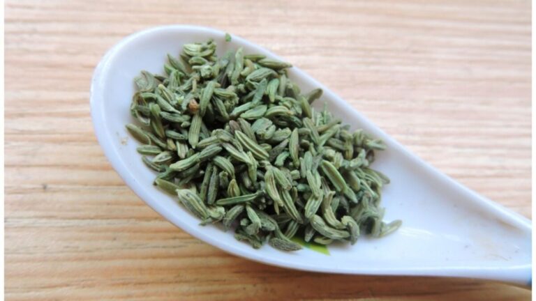 WhatsApp Image 2025-12-17 at 2.19.05 PM