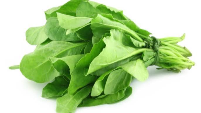 WhatsApp Image 2025-12-17 at 4.04.47 PM