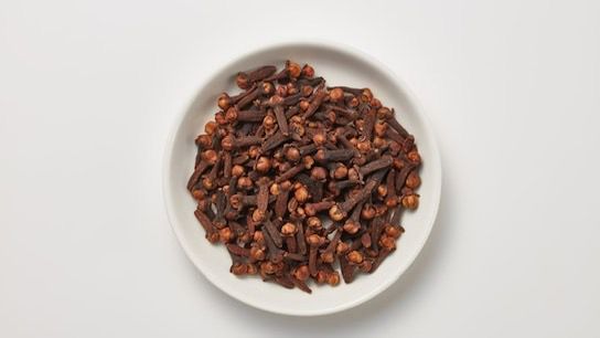 WhatsApp Image 2025-12-19 at 12.29.28 PM