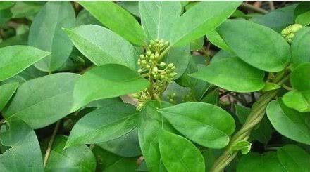 WhatsApp Image 2025-12-19 at 7.44.49 PM