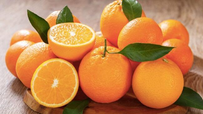 WhatsApp Image 2025-12-26 at 4.48.32 PM