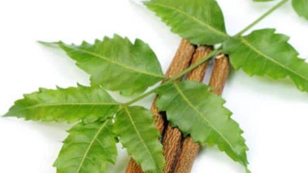 WhatsApp Image 2025-12-29 at 4.18.45 PM