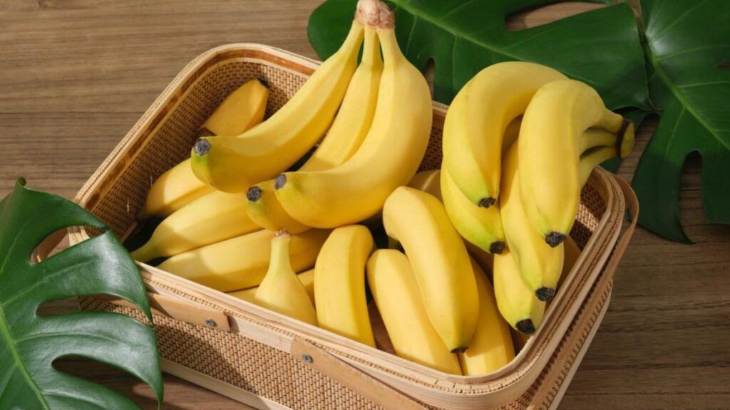 WhatsApp Image 2026-01-05 at 9.55.15 PM