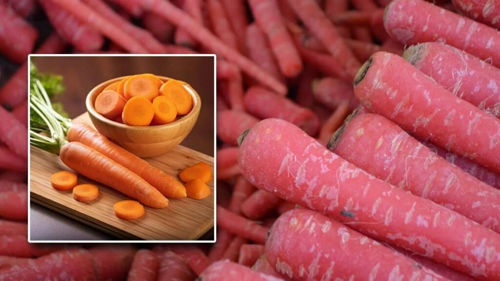 WhatsApp Image 2026-01-05 at 9.55.26 PM