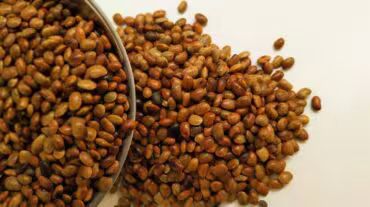 WhatsApp Image 2026-01-08 at 6.46.53 PM (1)