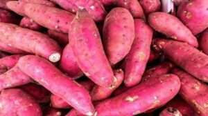 WhatsApp Image 2026-01-08 at 6.46.53 PM (2)