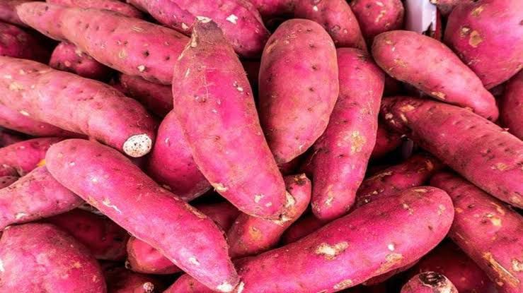 WhatsApp Image 2026-01-08 at 6.46.53 PM (2)