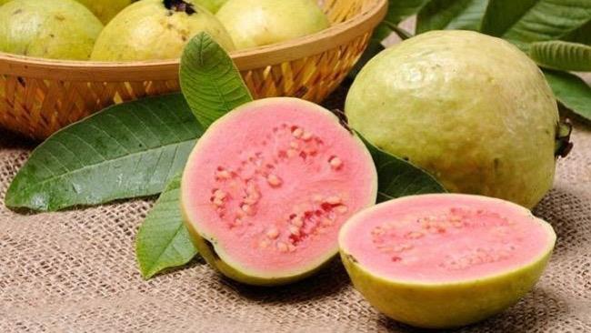 WhatsApp Image 2026-01-09 at 6.22.02 PM