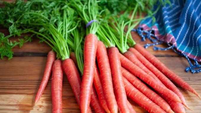 WhatsApp Image 2026-01-12 at 9.58.56 PM