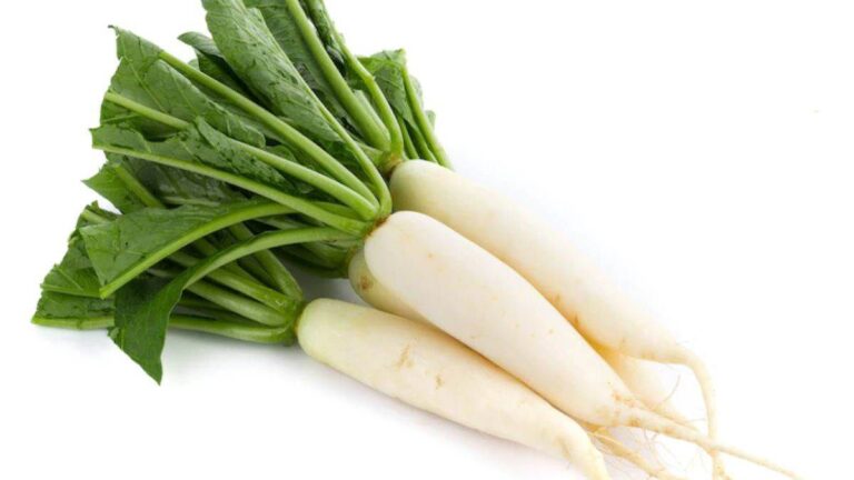 WhatsApp Image 2026-01-12 at 9.59.19 PM