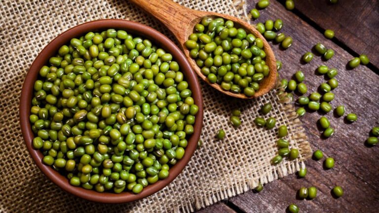 WhatsApp Image 2026-01-15 at 5.12.28 PM (1)