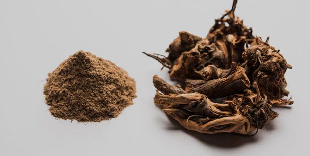 WhatsApp Image 2026-01-17 at 10.41.02 PM (1)