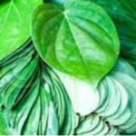 WhatsApp Image 2026-01-22 at 9.43.58 PM