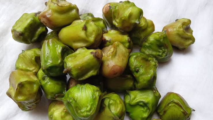 WhatsApp Image 2026-01-22 at 9.44.29 PM (1)