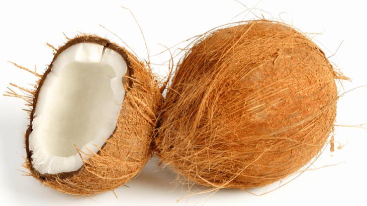 WhatsApp Image 2026-01-28 at 5.16.02 PM