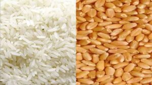 WhatsApp Image 2026-01-28 at 5.16.29 PM