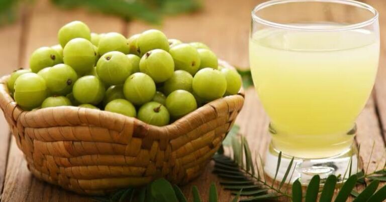 WhatsApp Image 2026-01-30 at 5.51.37 PM