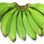 WhatsApp Image 2026-01-30 at 5.53.26 PM