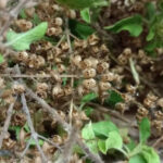 32C503F0-EB57-40D8-A031-C54118057286