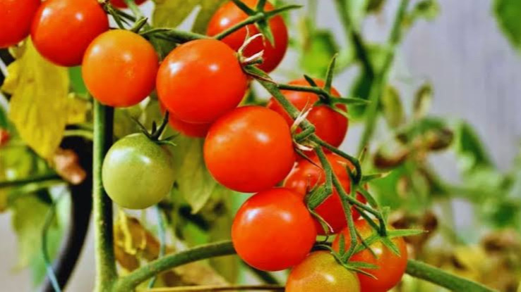 6FDB1F92-813B-4E8C-B57B-A05408C34B1B