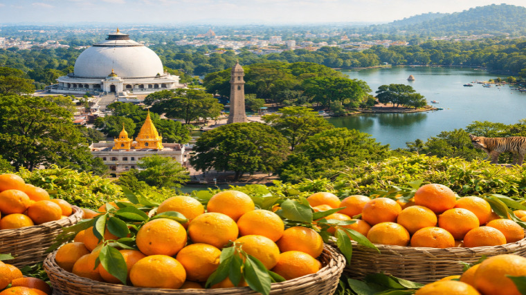 F5FB9B0A-4D9F-4CC9-AD95-C90DFA6801EF