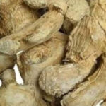 FE1A3B06-0D4B-417F-BE97-524F833E36CA